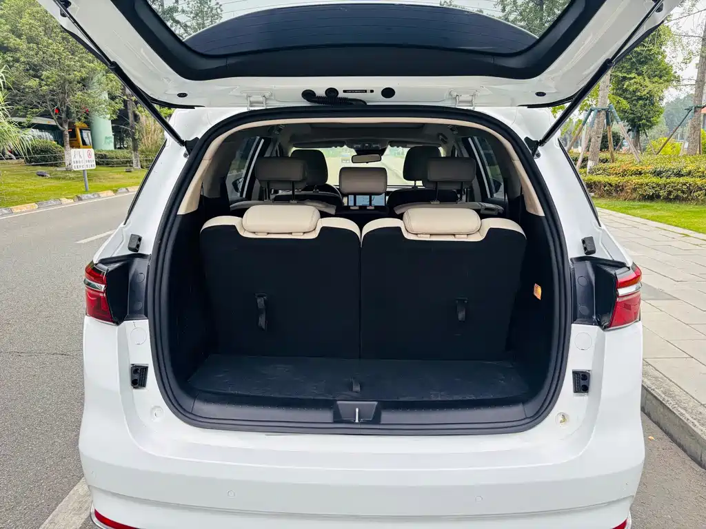 BYD MAX New Energy — миниатюра 14