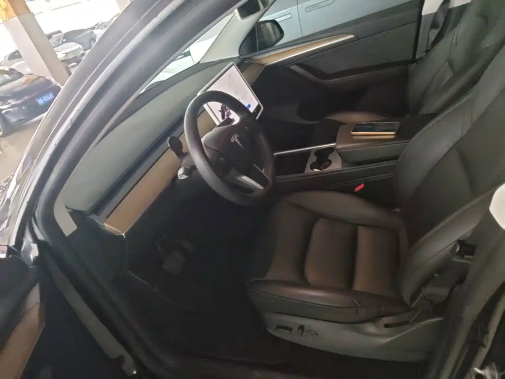 Tesla Model Y — миниатюра 15