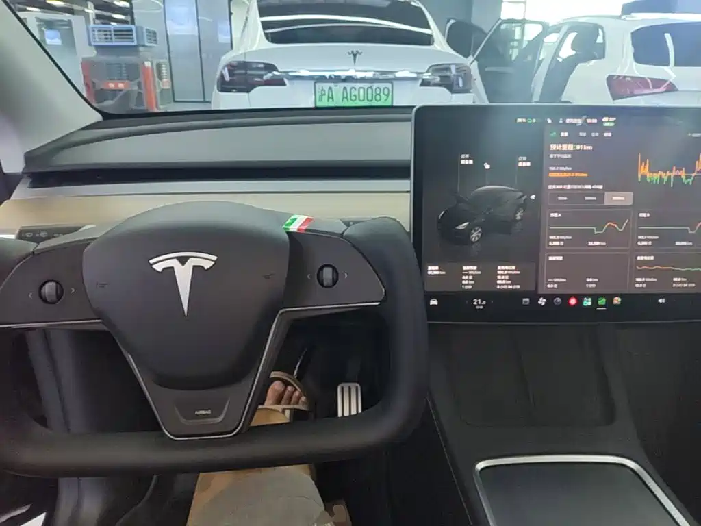 Tesla Model Y — миниатюра 10