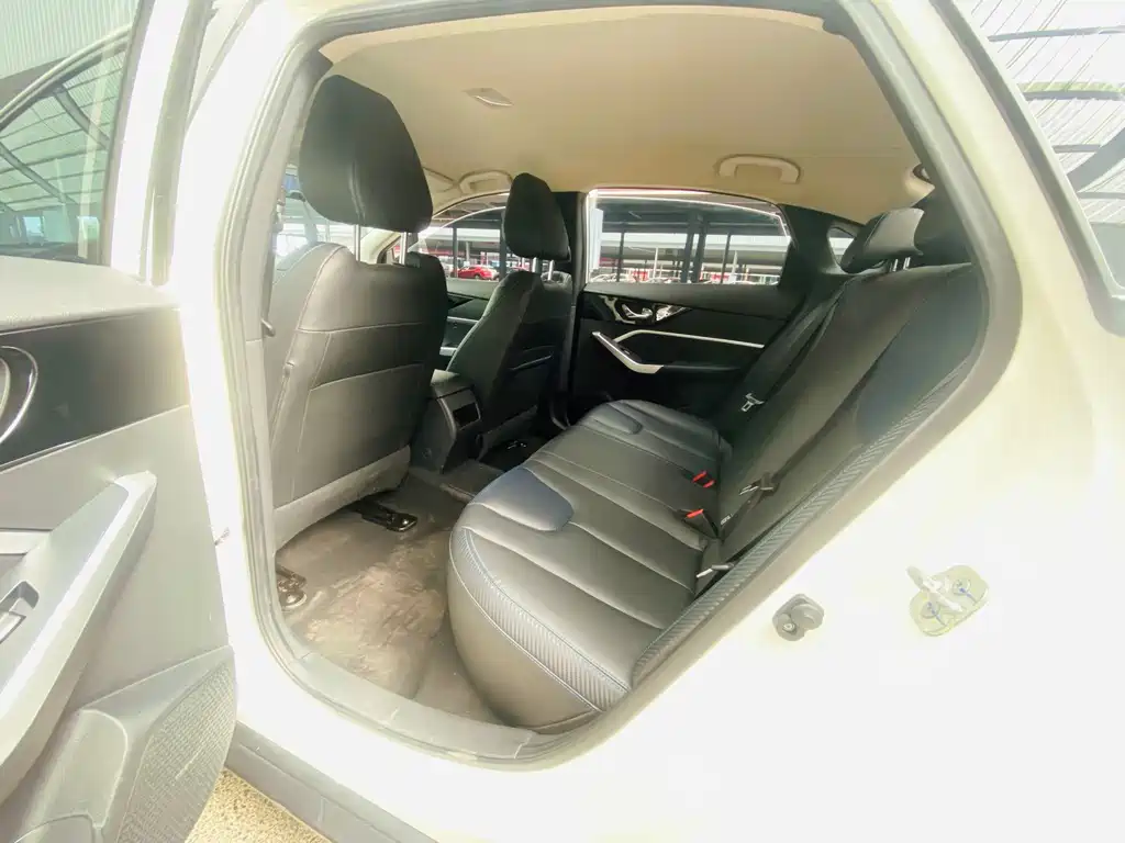 Venucia D60 EV — миниатюра 11