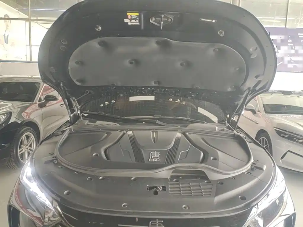 BYD Tang New Energy — миниатюра 20