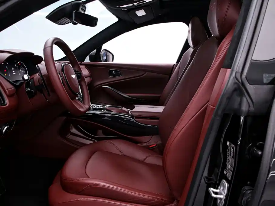Aston Martin DBX — миниатюра 14