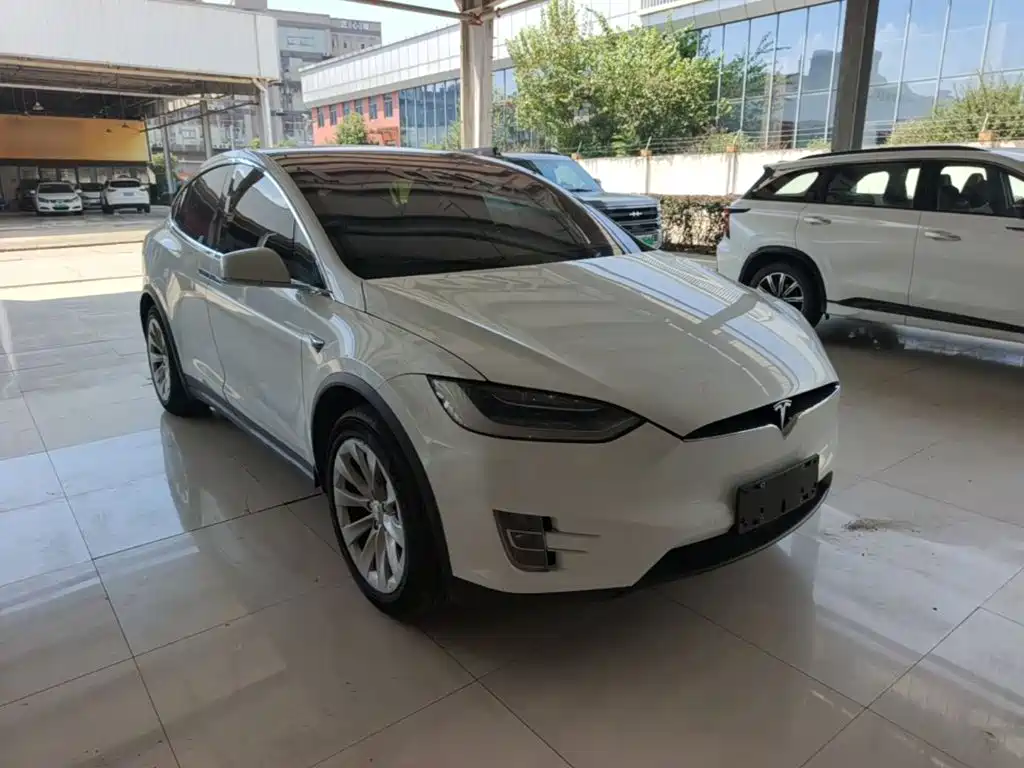 Tesla Model X — миниатюра 4