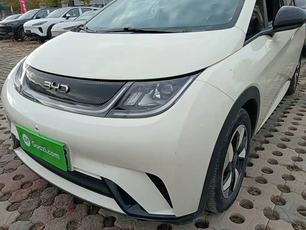 BYD Dolphin — миниатюра 24