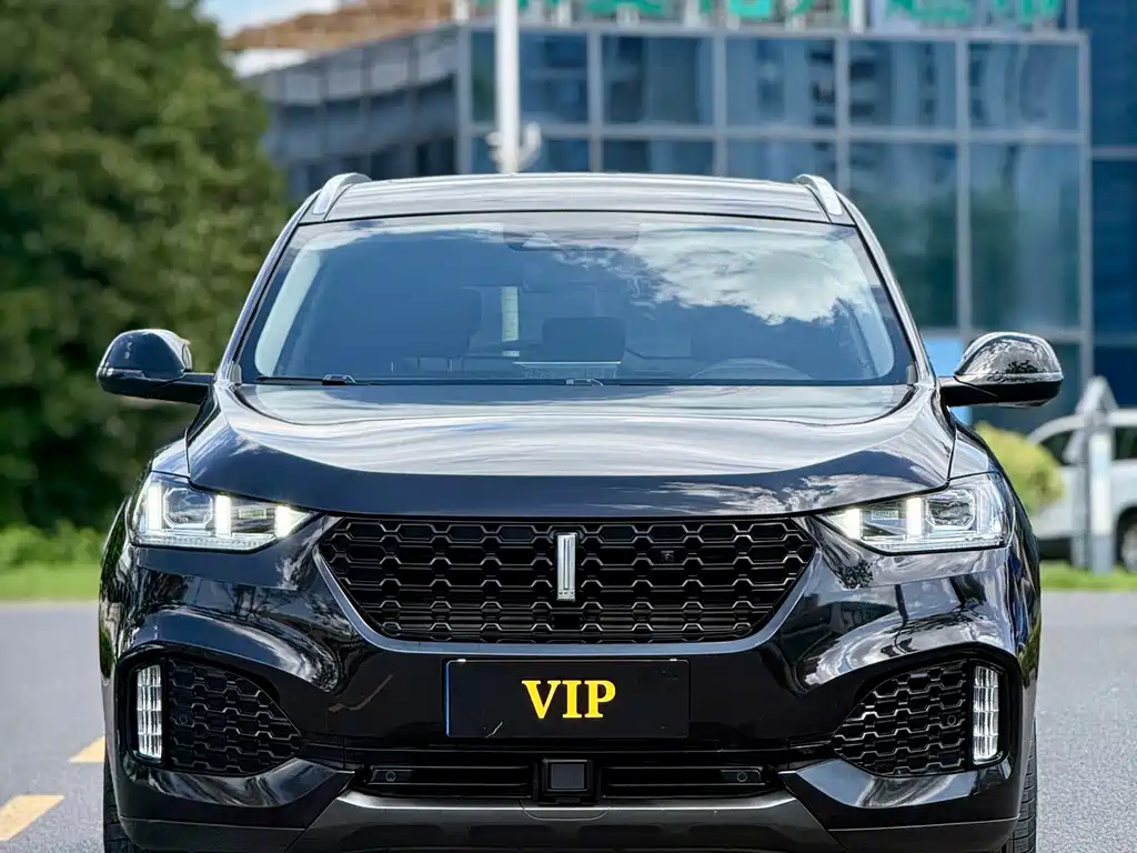 Wey Wey VV6 — миниатюра 2