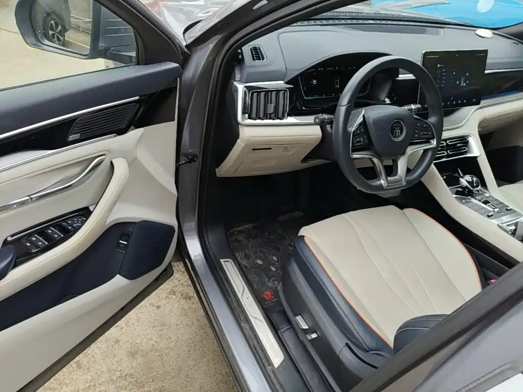 BYD PLUS New Energy — миниатюра 16