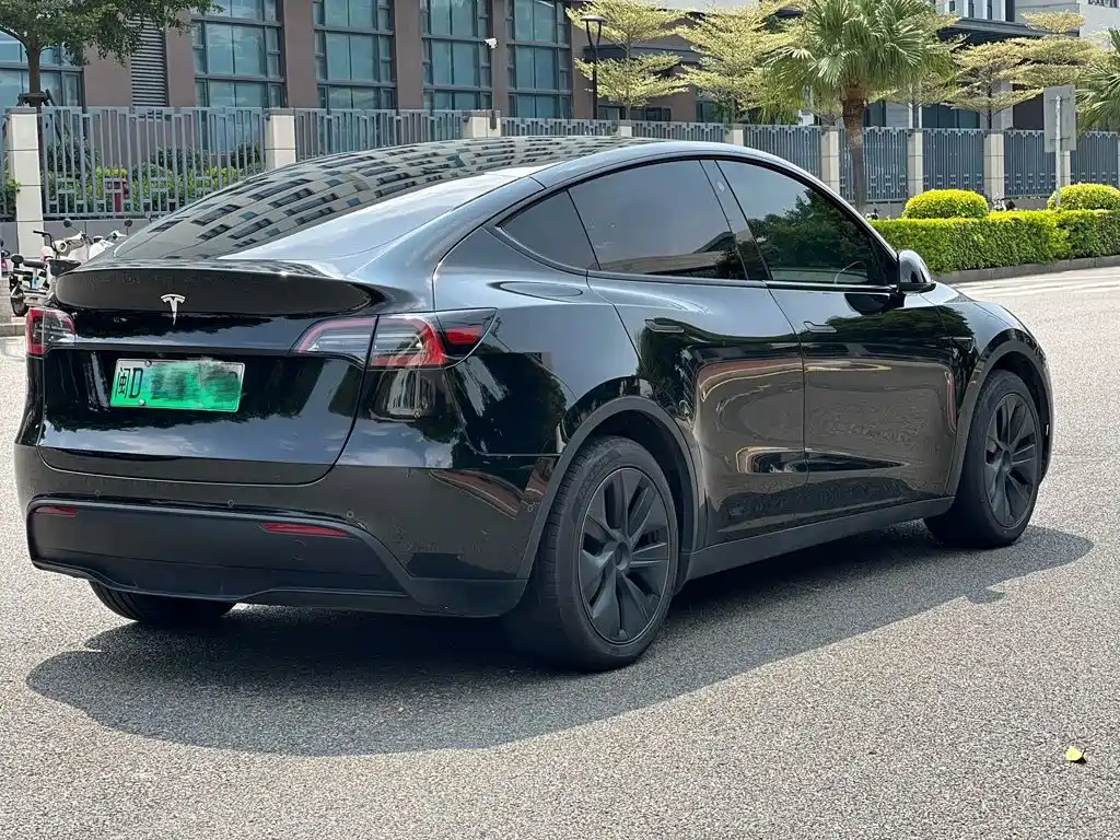 Tesla Model Y — миниатюра 5