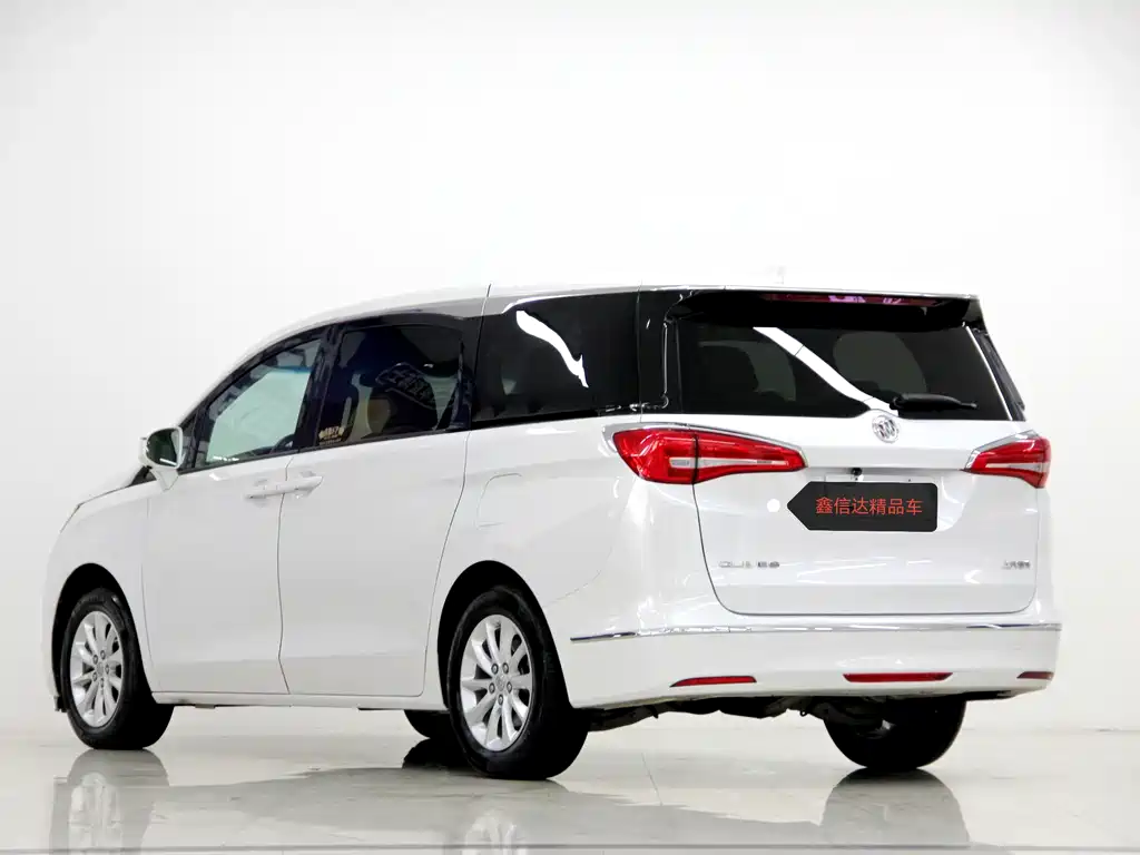 Buick GL8 — миниатюра 18