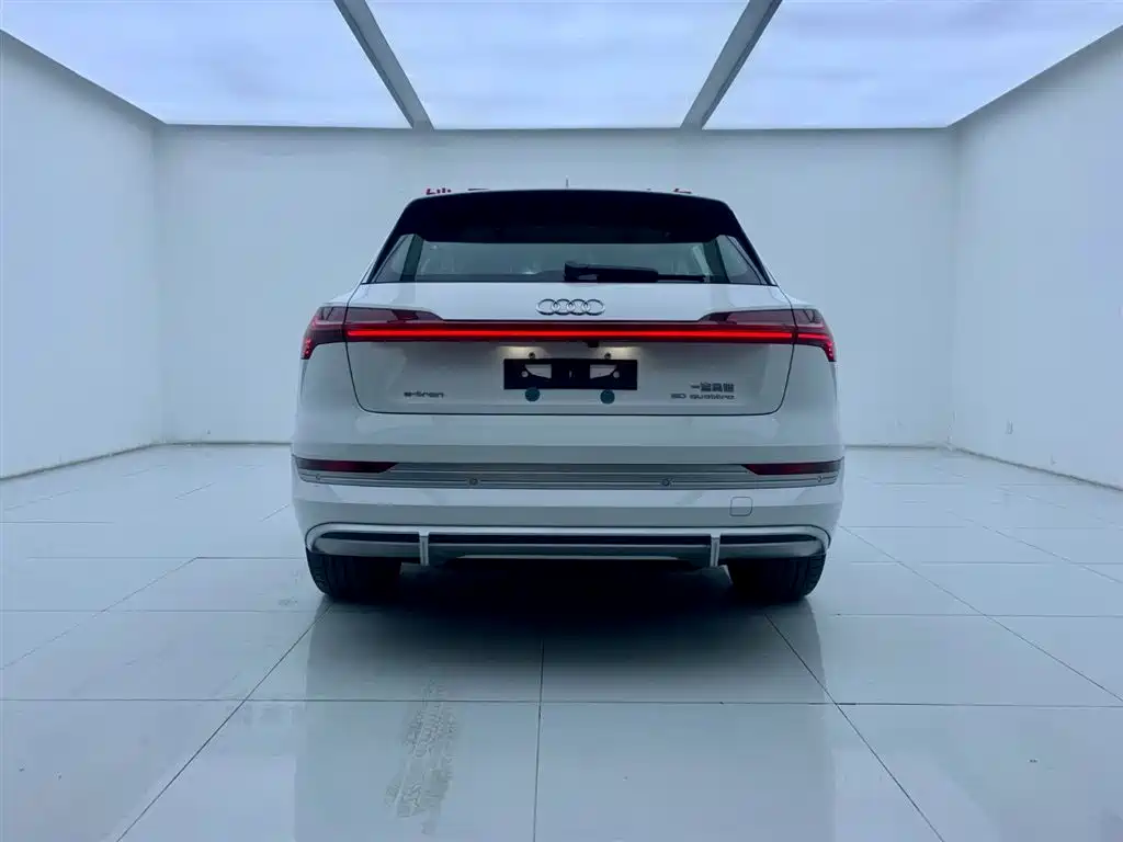 Audi e-tron 2021 50 quattro Luxury