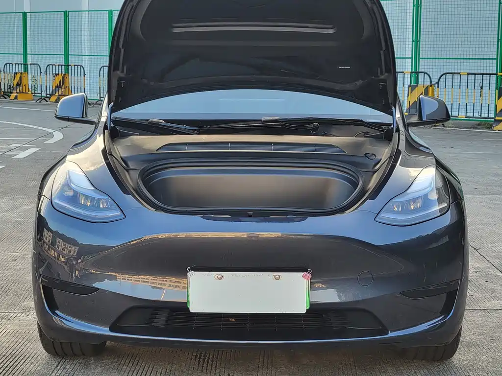 Tesla Model Y — миниатюра 4
