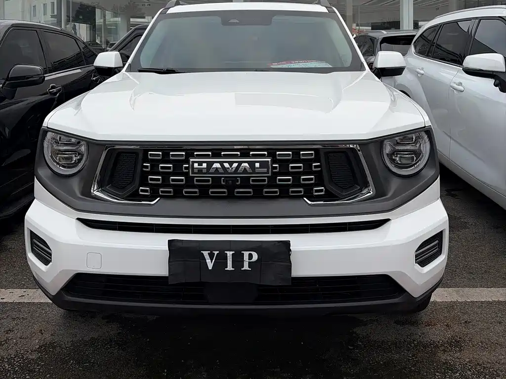 Haval Big Dog PLUS — миниатюра 2