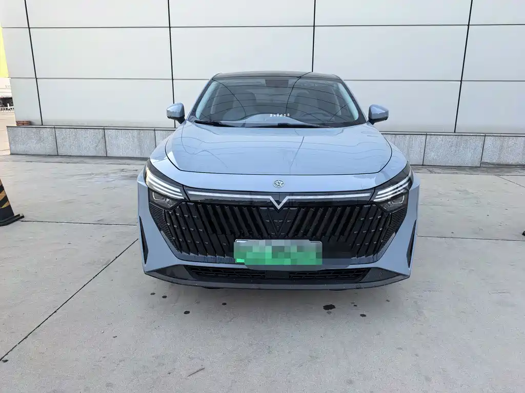 Venucia V DD-i — миниатюра 2