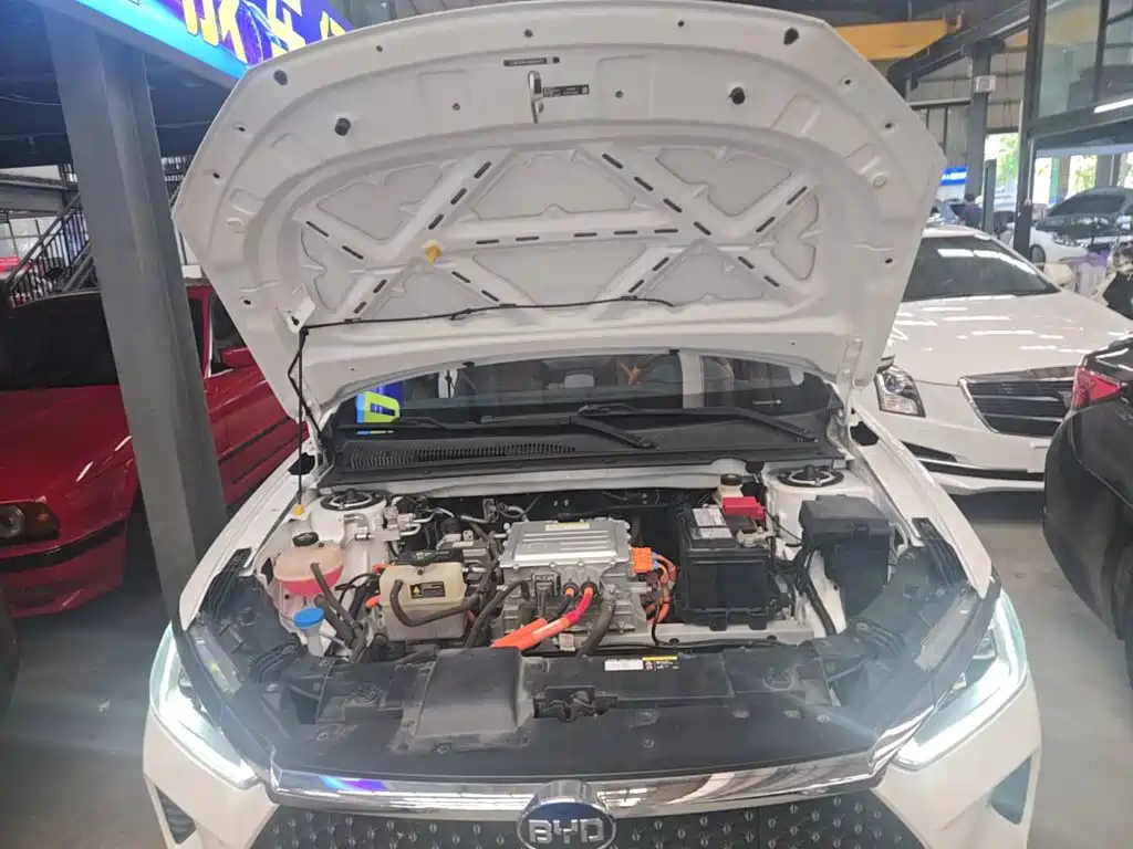 BYD e2 — миниатюра 20