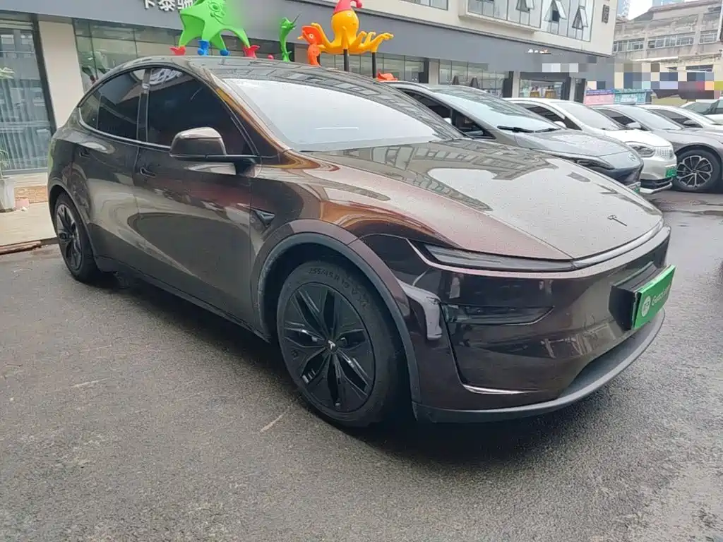 Tesla Model Y L — миниатюра 4