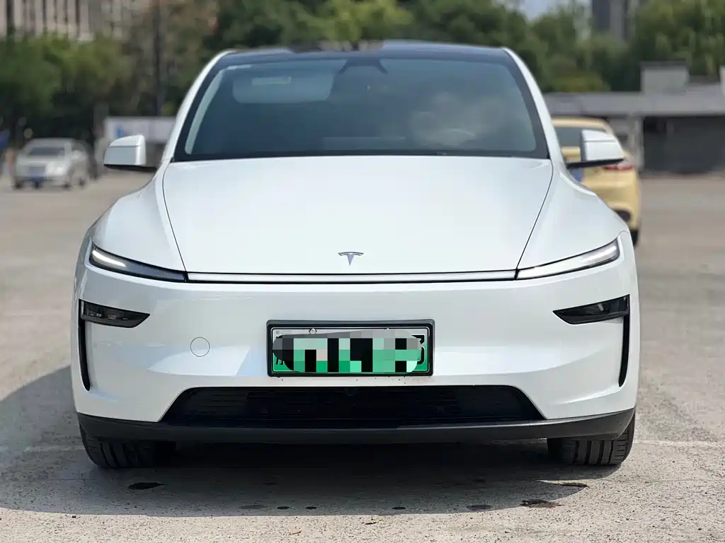 Tesla Model Y — миниатюра 2