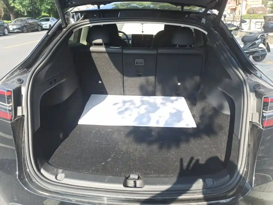 Tesla Model Y — миниатюра 4
