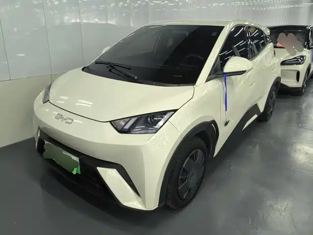 BYD 海鸥