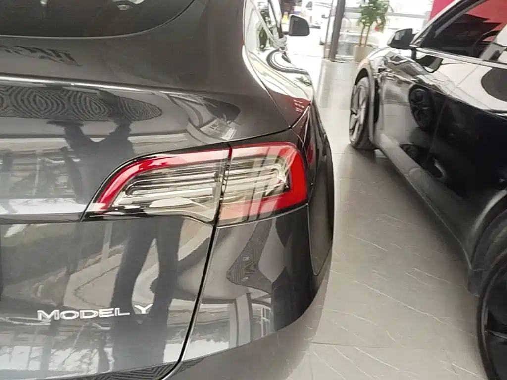 Tesla Model Y — миниатюра 8
