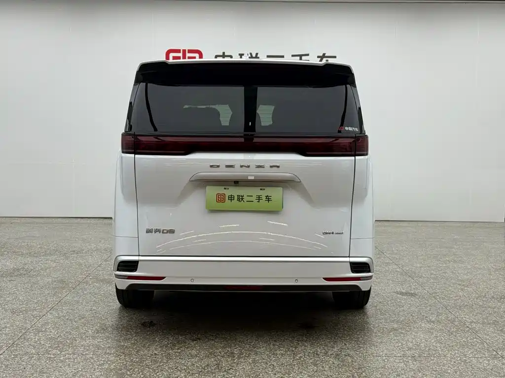 Denza Denza D9 — миниатюра 4