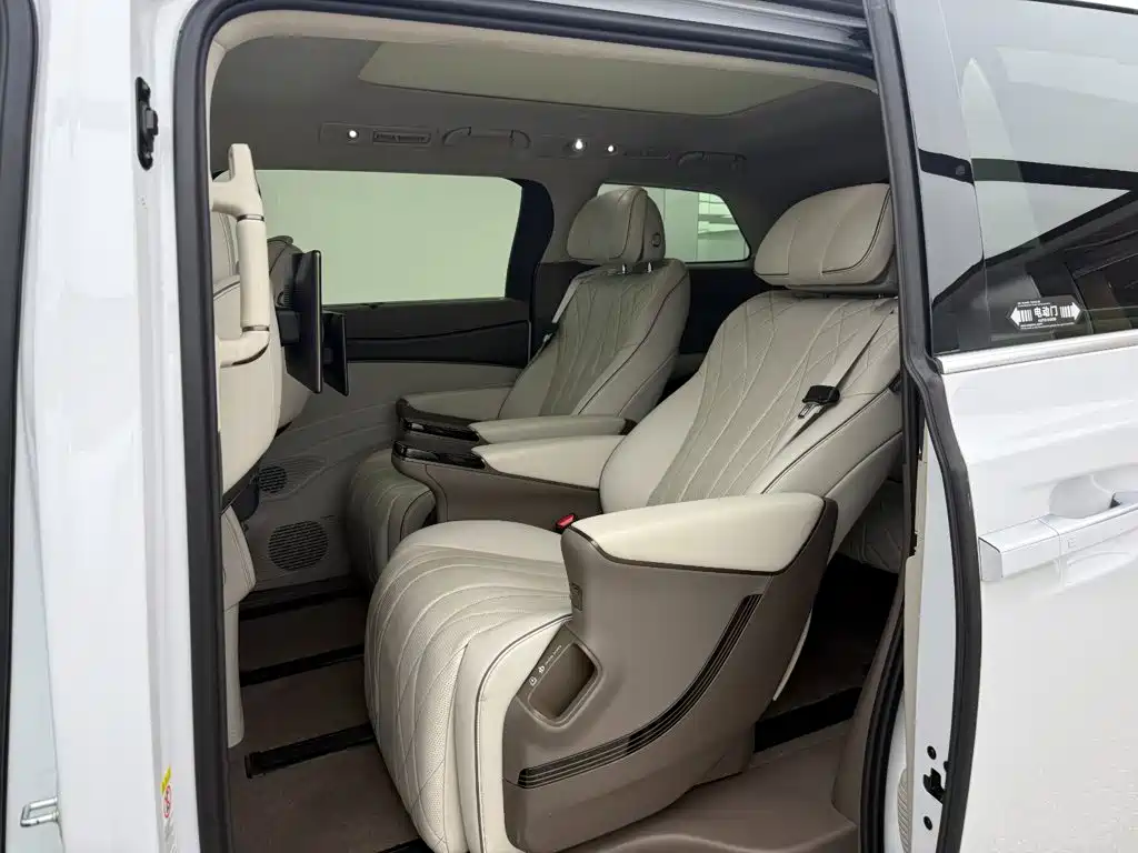 Denza Denza D9 — миниатюра 7