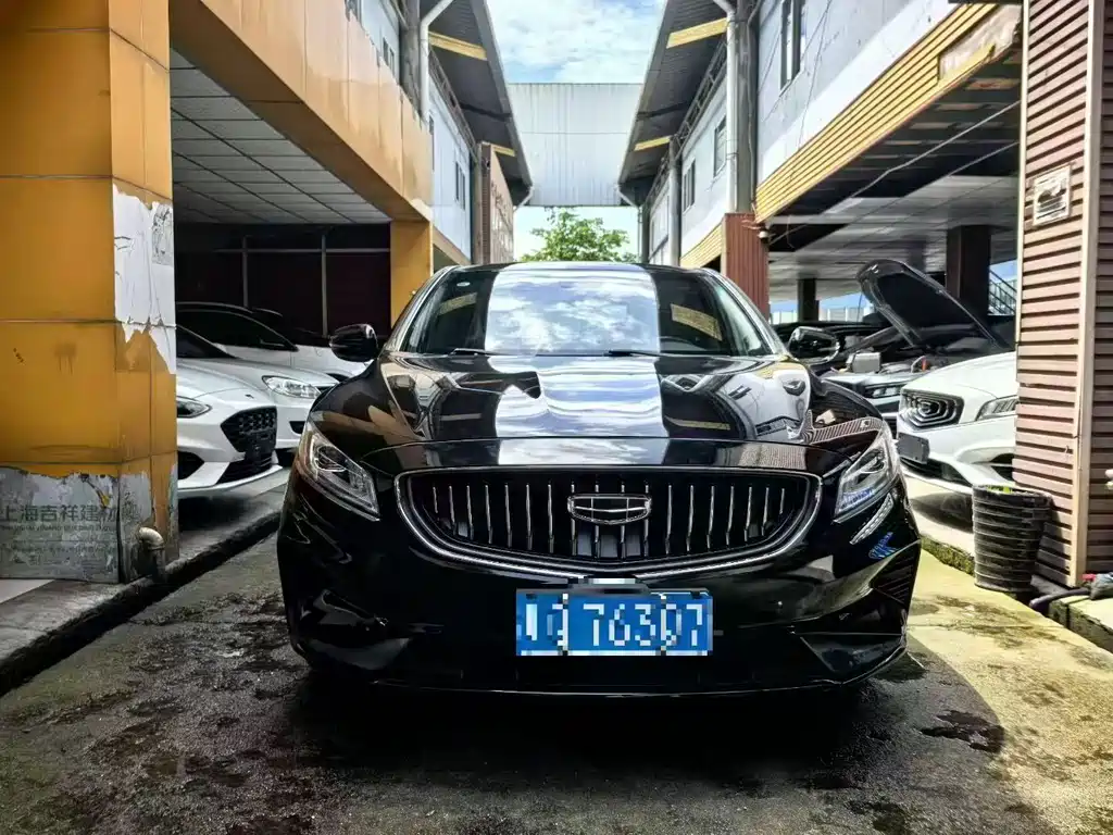 Geely Borui — миниатюра 2