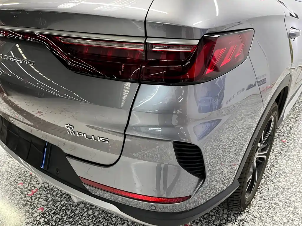 BYD PLUS — миниатюра 18