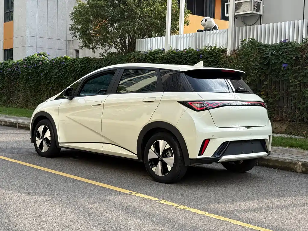 BYD Dolphin — миниатюра 16