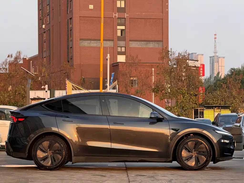 Tesla Model Y — миниатюра 4