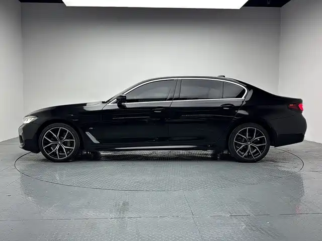BMW 5 Series — миниатюра 5