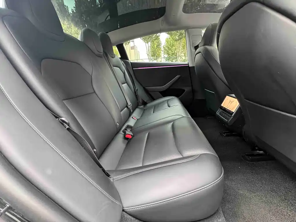 Tesla Model 3 — миниатюра 7