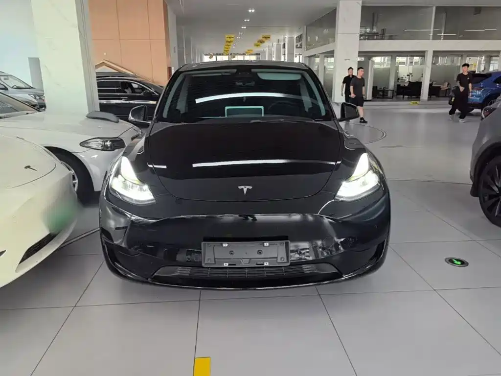 Tesla Model Y — миниатюра 3