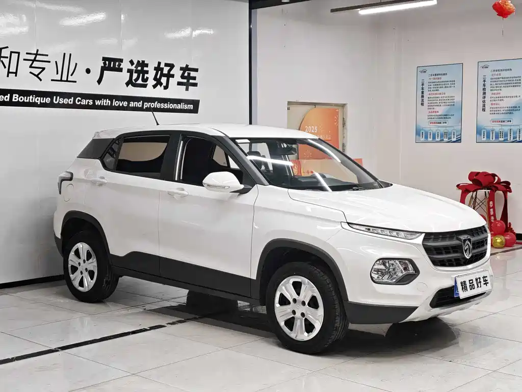 BAOJUN 510