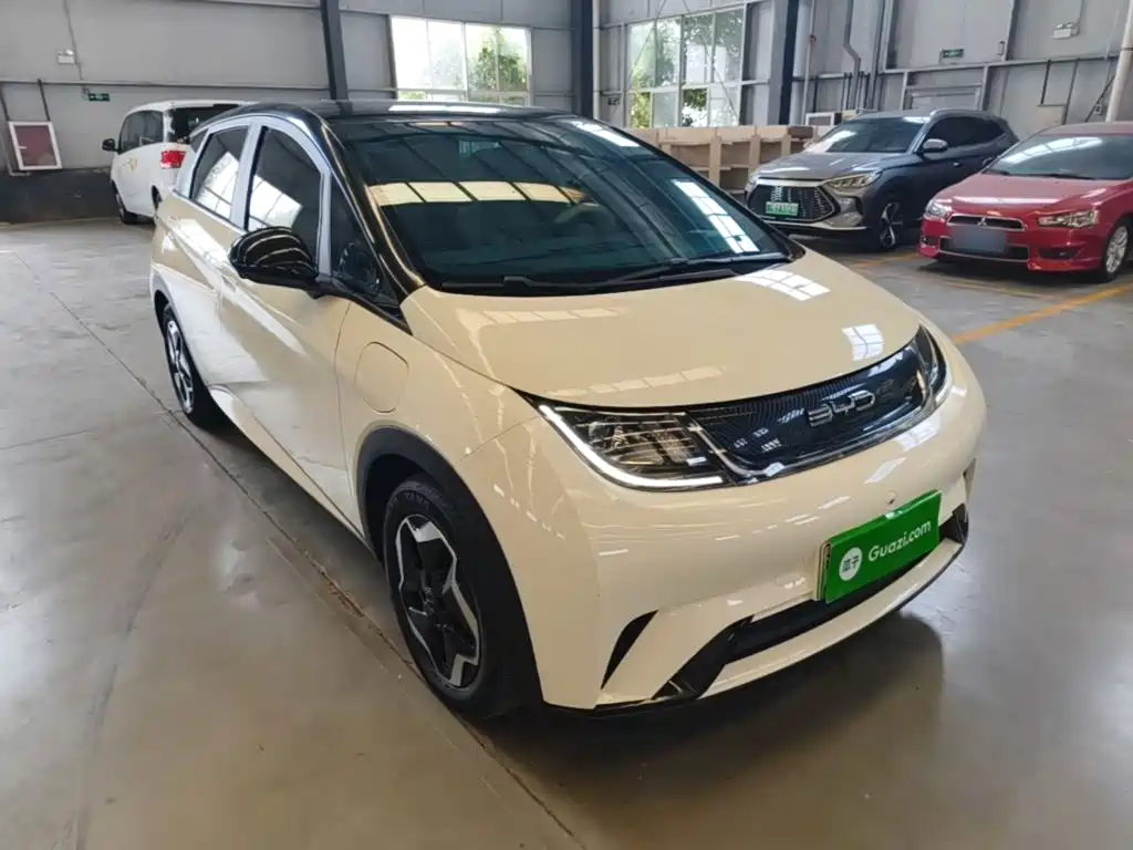 BYD Dolphin — миниатюра 4