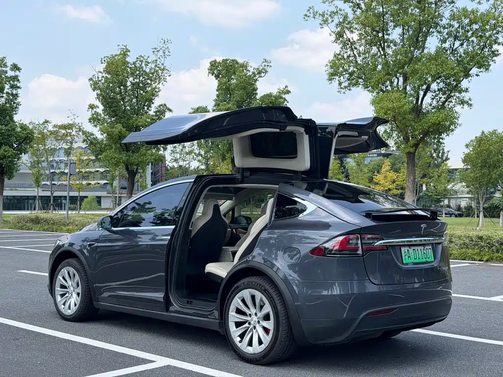 Tesla Model X — миниатюра 4