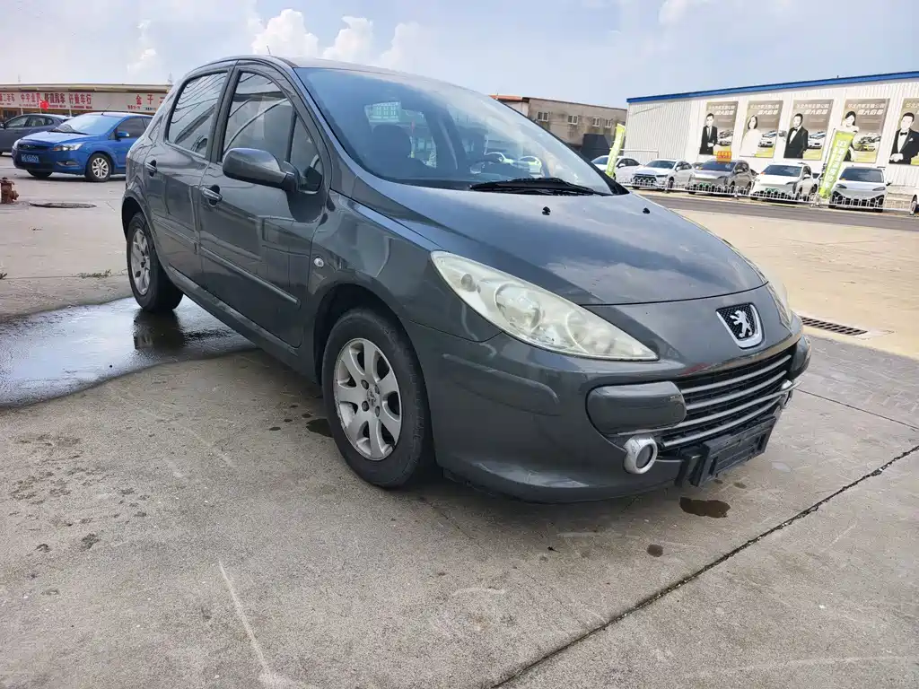 Peugeot 307 — миниатюра 9