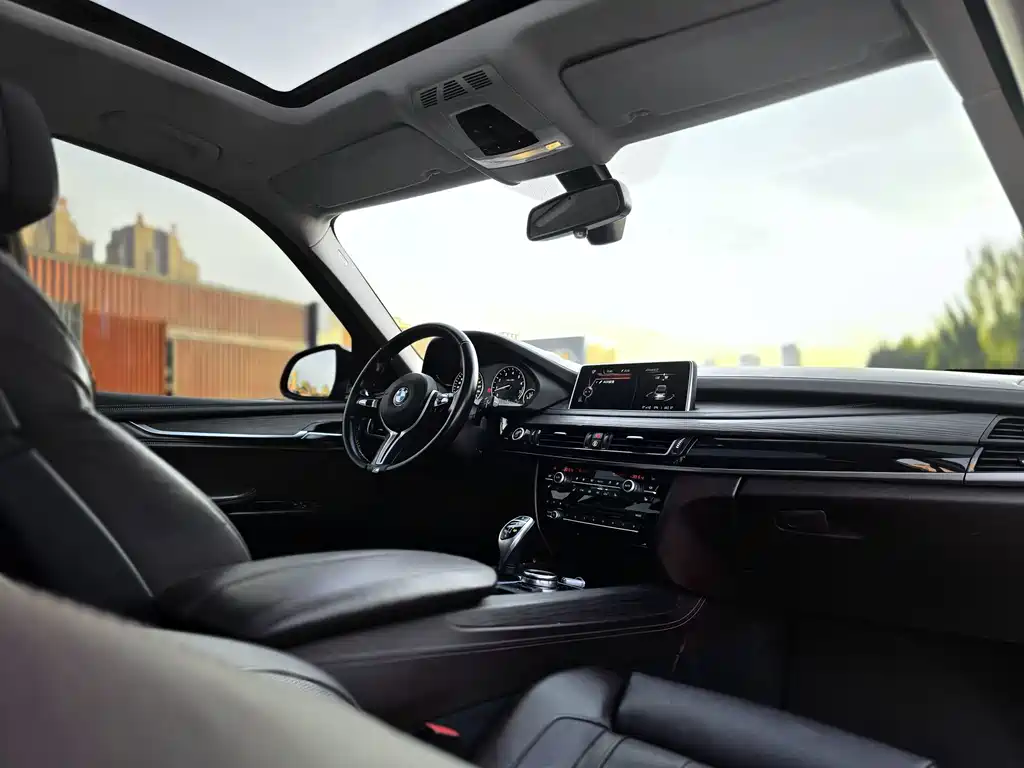 BMW X5 (Import) — миниатюра 12
