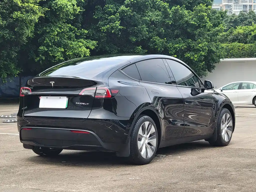 Tesla Model Y — миниатюра 14