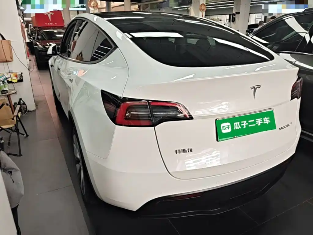 Tesla Model Y — миниатюра 5