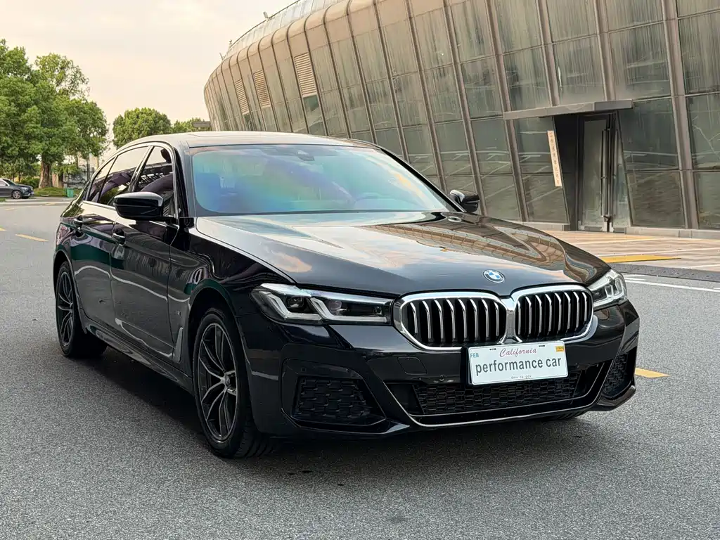 BMW 5 Series — миниатюра 3
