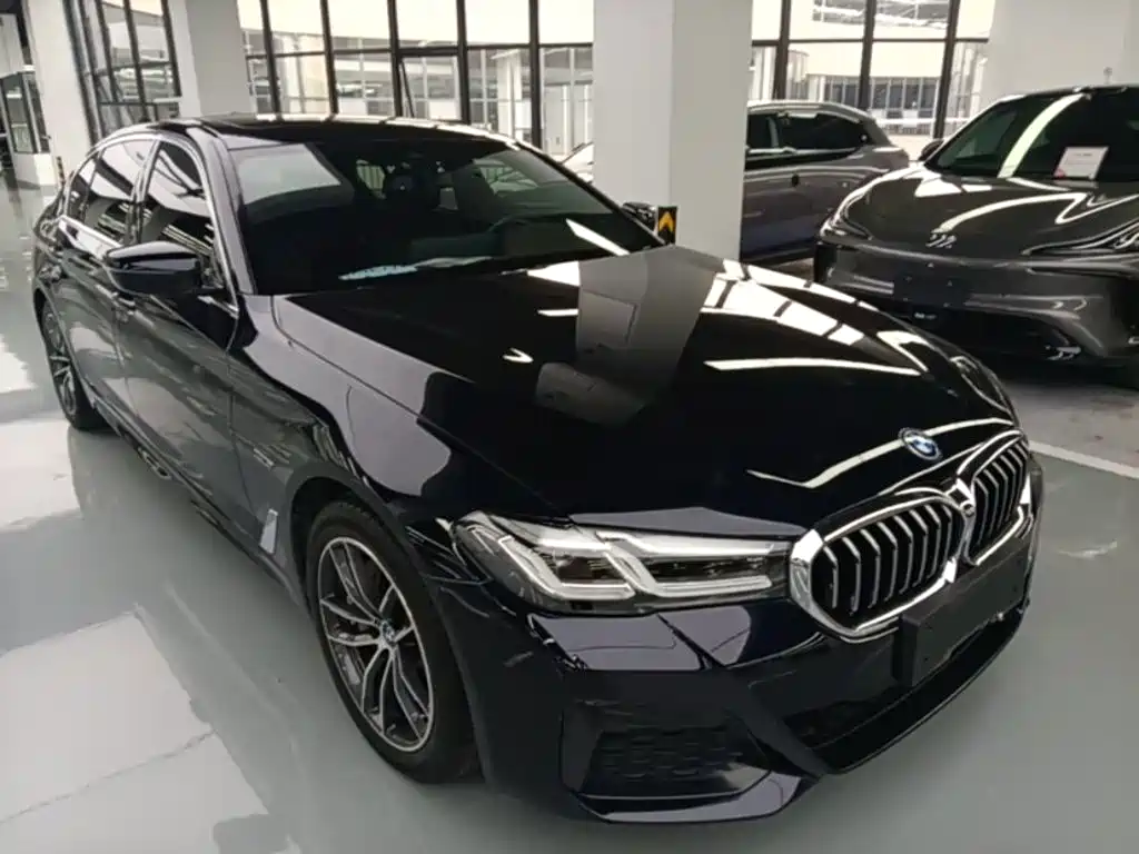 BMW 5 Series New Energy — миниатюра 4