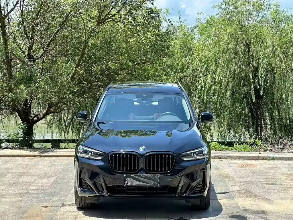 BMW X3 — миниатюра 2