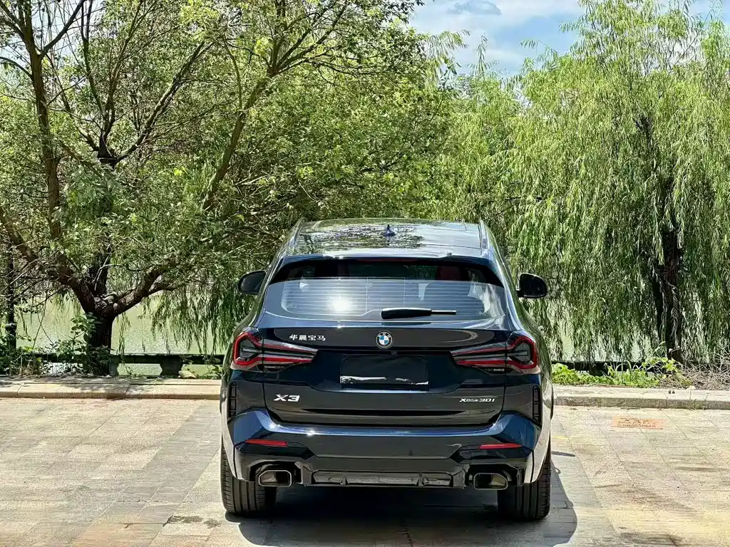 BMW X3 — миниатюра 7