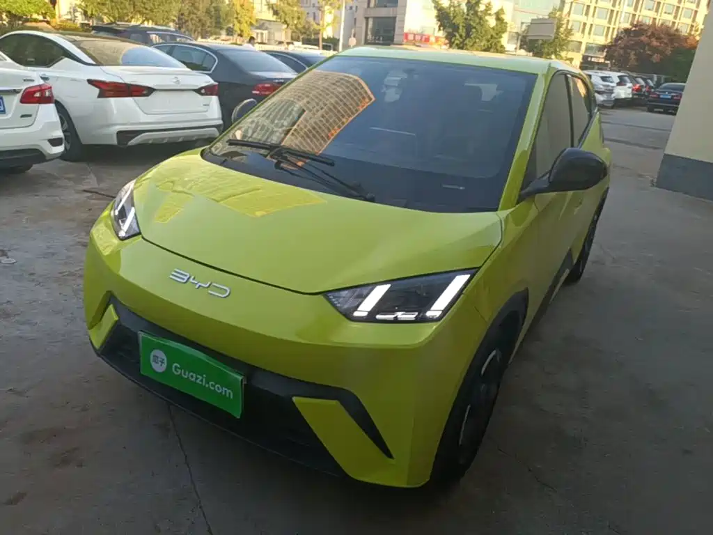 BYD Seagull