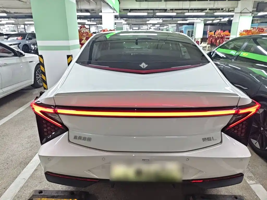 Lingxi Lingxi L — миниатюра 6