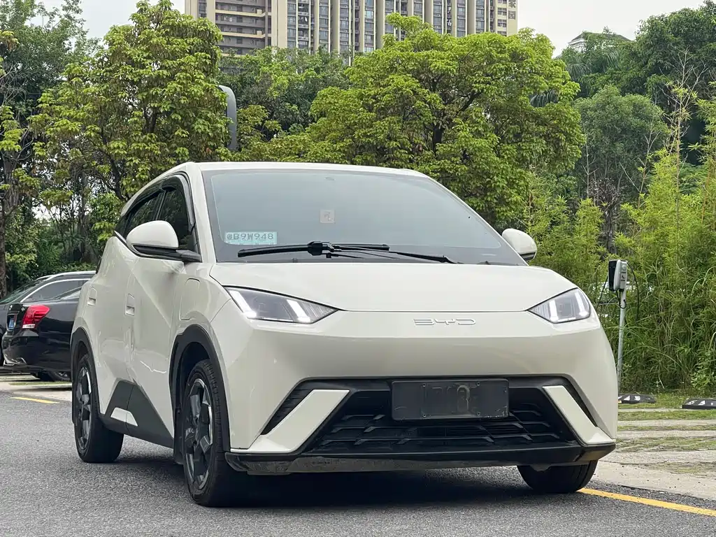 BYD Seagull 2023 Freedom