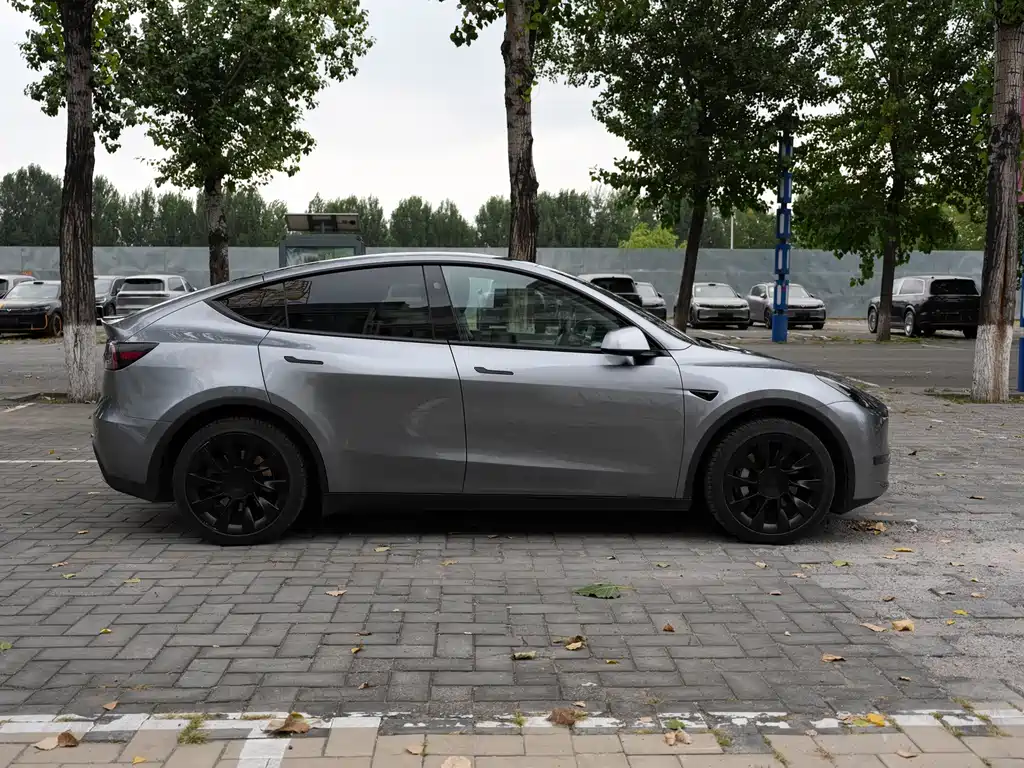 Tesla Model Y — миниатюра 4