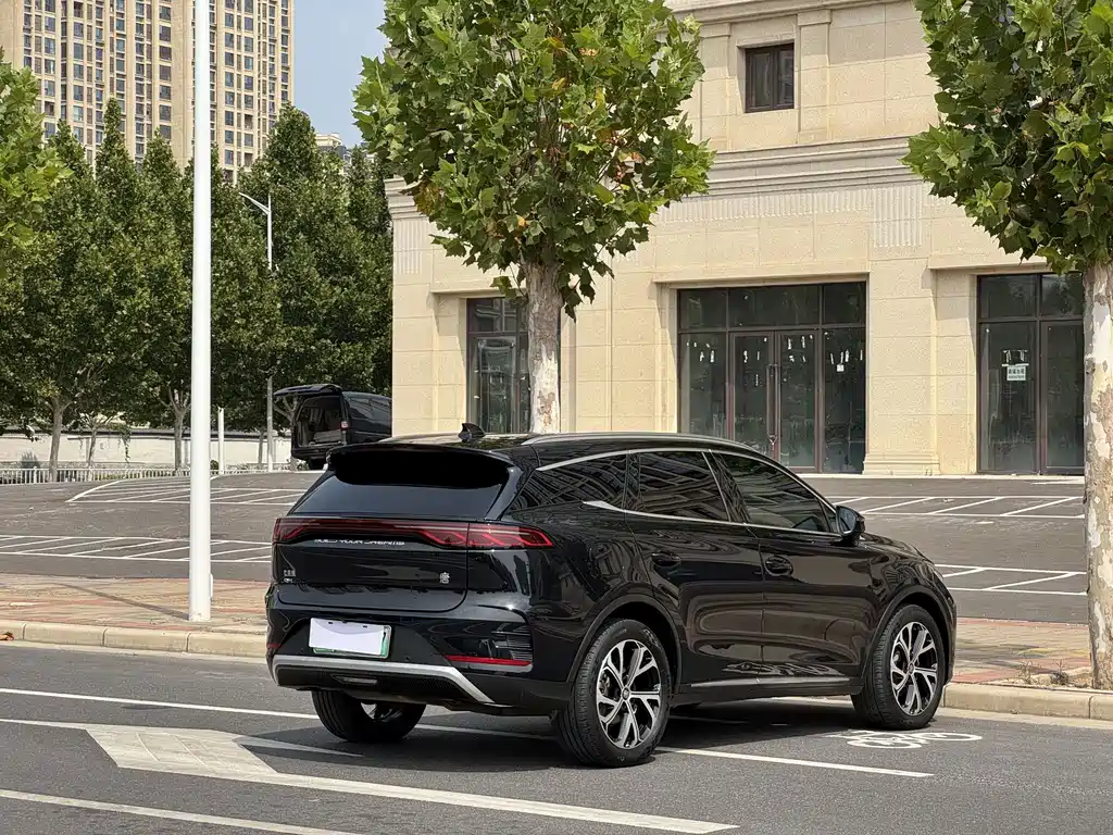 BYD Tang New Energy — миниатюра 16
