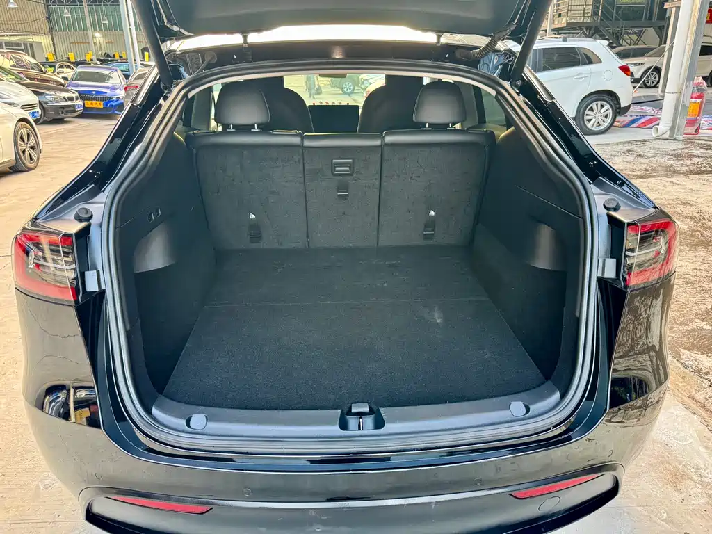 Tesla Model Y — миниатюра 30
