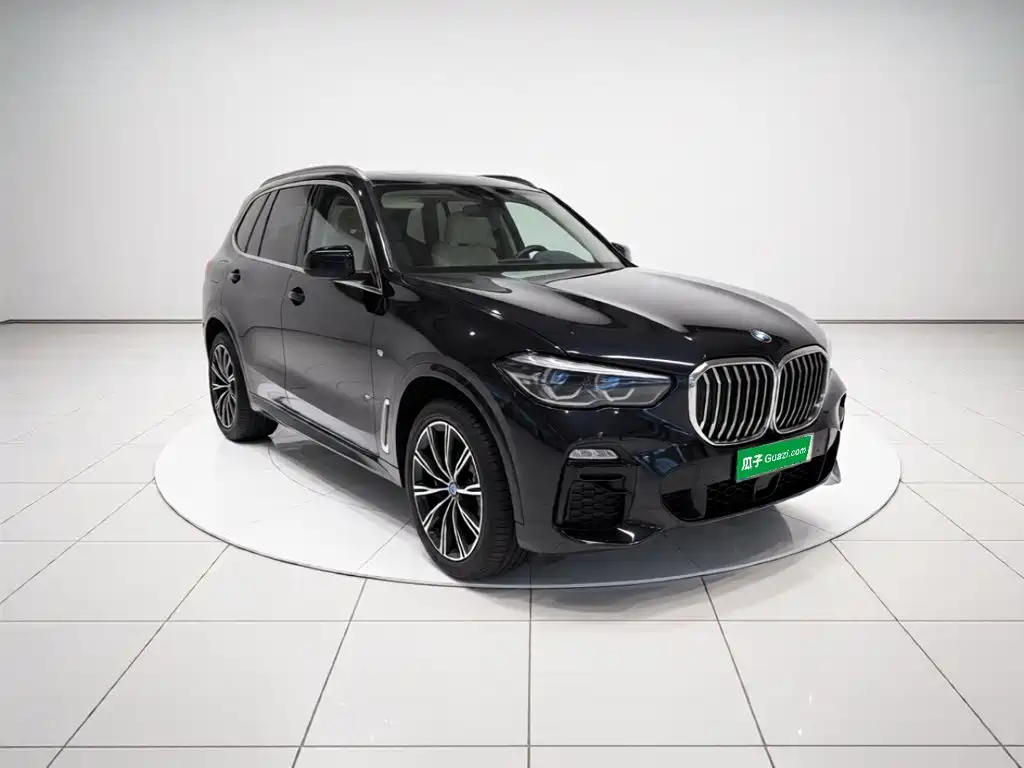 BMW X5 (Import) — миниатюра 3