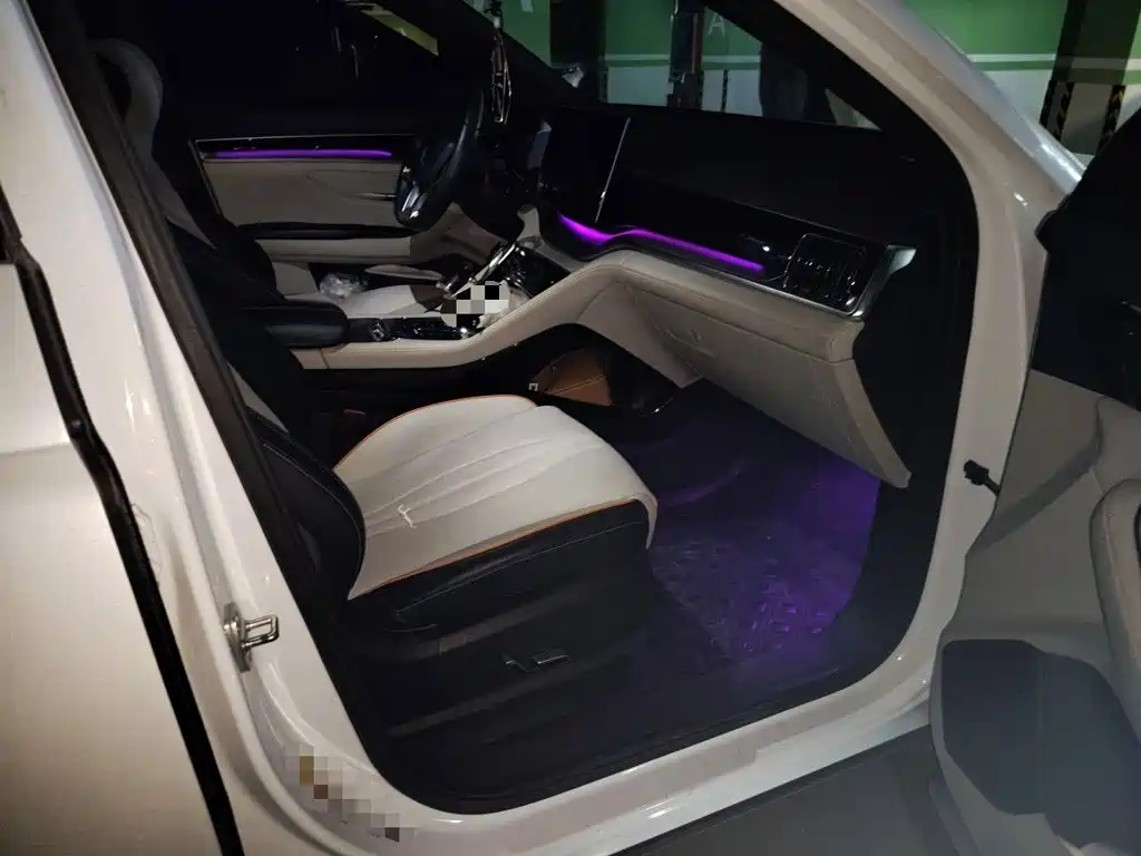 BYD PLUS New Energy — миниатюра 19